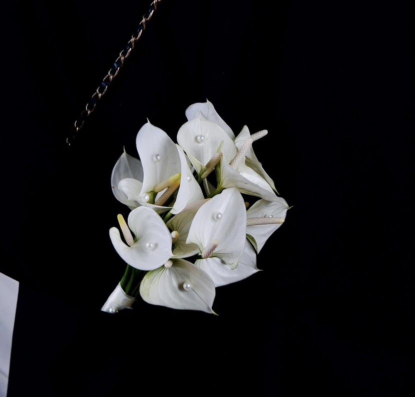 【绿光彩掌】耳语~小白掌（迷你版）