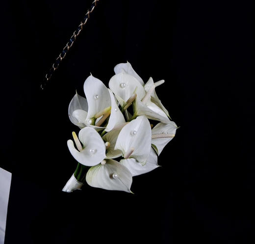 【绿光彩掌】耳语~小白掌（迷你版） 商品图0