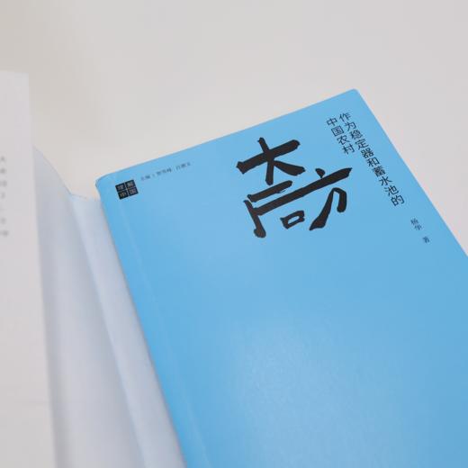 《大后方：作为稳定器和蓄水池的中国农村》 商品图12