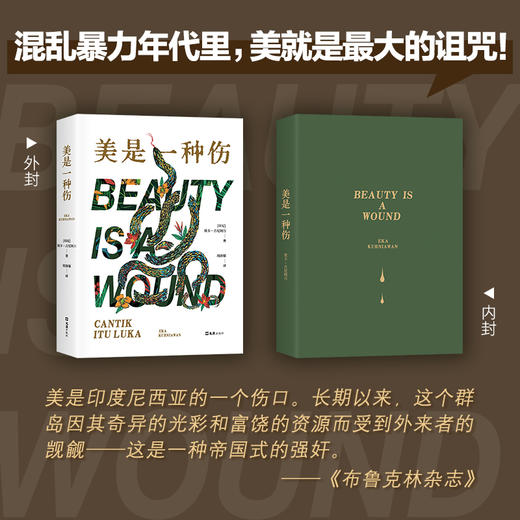 美是一种伤 商品图2