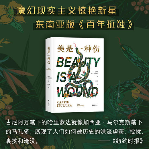 美是一种伤 商品图0