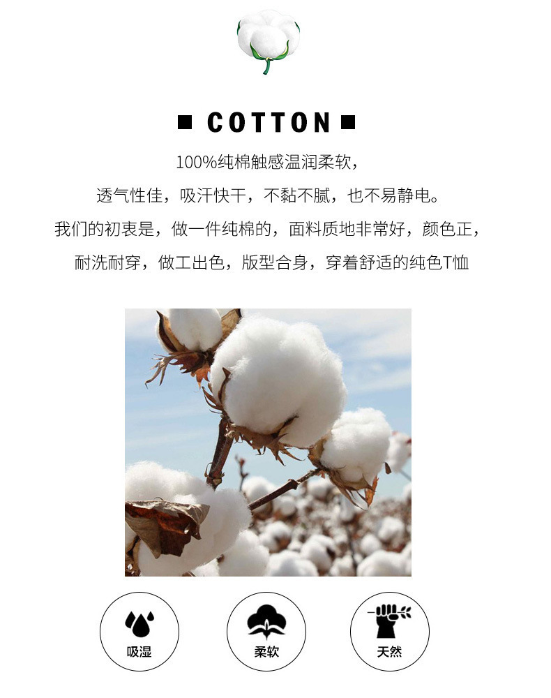 精梳棉4