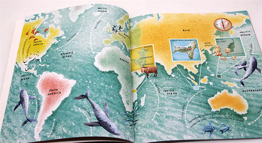 Collins柯林斯 动物动物去哪里 英文原版绘本 Amazing Animal Journeys 神奇的动物之旅 英文版儿童启蒙图画故事书 英语学习绘本读物 进口书籍 商品图2