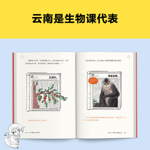 读客半小时漫画中国地理从长江长城到黄山黄河半小时尽览祖国大好河山 商品图5