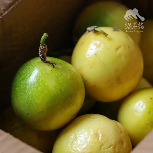 生态黄金百香果（申通或京东快递，广州） | 合作生产*  Eco-Passion fruit | Partner Production 商品图3