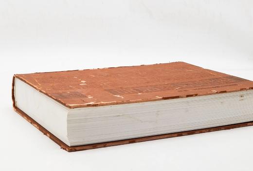 残书拯救，售出不退！！《里耶发掘报告》，精装，16开厚册，铜版彩印，岳麓书社2007年版，定价600，售价78元。品相如图。 商品图2