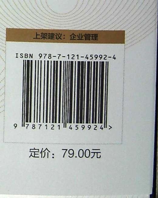 SDBE战略与洞察：路径选择和节奏把握的艺术  应变发展破局生存 标杆企业战略规划方法 商品图1