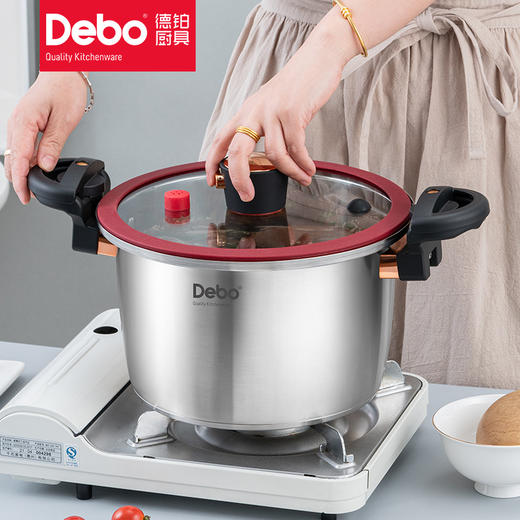 debo德铂沃尔姆斯304不锈钢微压锅 商品图3
