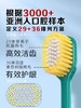 牙刷日本进口宽头绒感牙刷家庭装 商品缩略图2