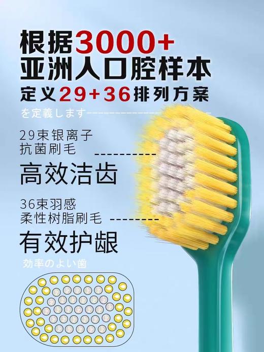 牙刷日本进口宽头绒感牙刷家庭装 商品图2