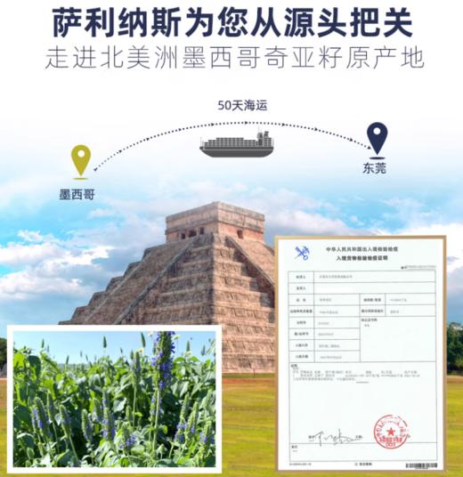 墨西哥进口奇亚子即食代餐冲饮饱腹减10g*20条，糖友适用 商品图2