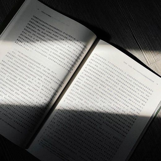 UNESCO与中国教育 中国国际教育发展报告 2021 四川外国语大学国际教育学院 编著 正版 华东师范大学出版社 商品图8