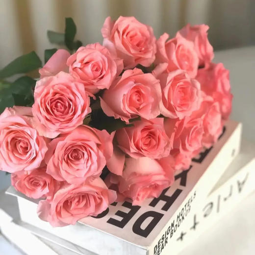 戴安娜 粉色玫瑰 20支/扎 云南基地发货 （价格已包含包装费用） 运费以实际为准，多退少补。 商品图6