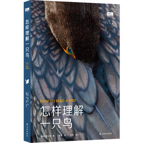 怎样理解一只鸟