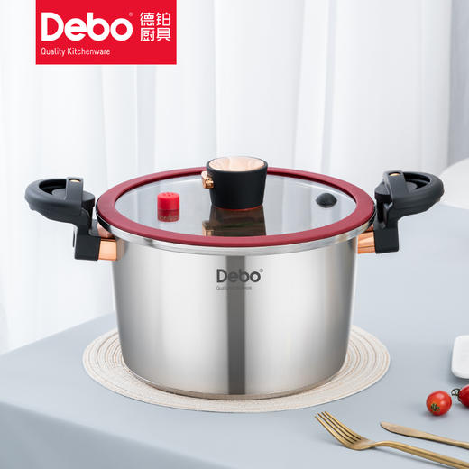 debo德铂沃尔姆斯304不锈钢微压锅 商品图0