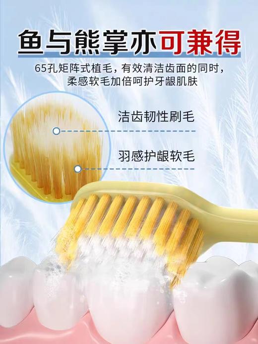牙刷日本进口宽头绒感牙刷家庭装 商品图3