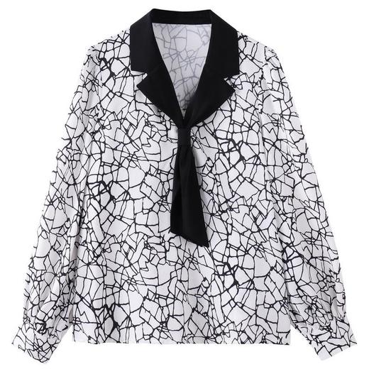 百姿 裂纹V领长袖衬衫2023秋季新款小众印花套头雪纺衫女231254 商品图4