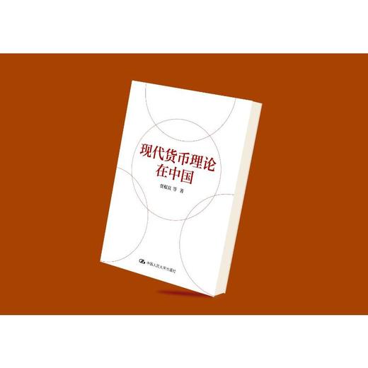 现代货币理论在中国 商品图2