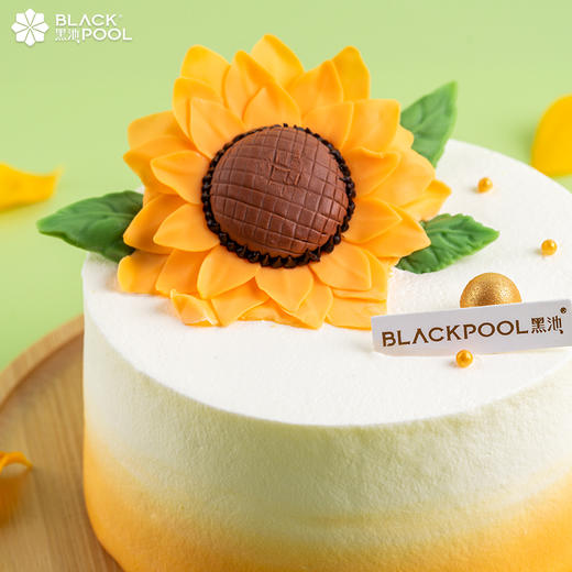 【春晖芒果椰子软忌廉】桃李满天下，春晖遍四方 商品图1