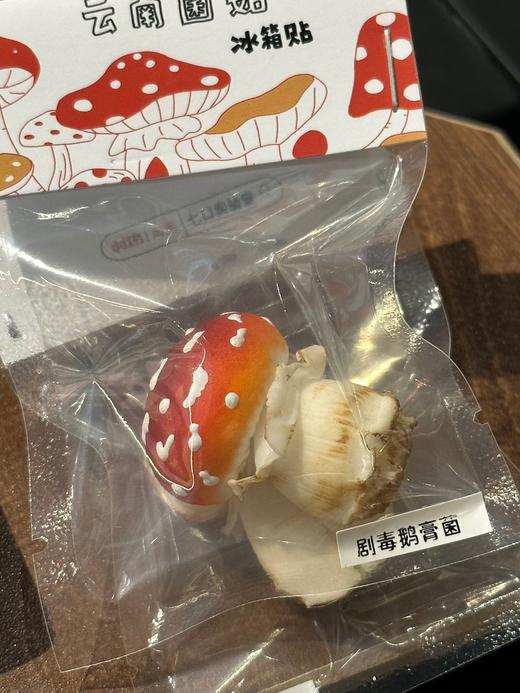 七口实验室丨剧毒鹅膏菌冰箱贴 商品图0
