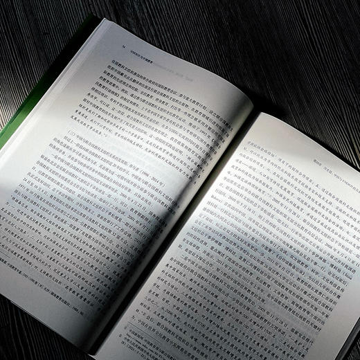 UNESCO与中国教育 中国国际教育发展报告 2021 四川外国语大学国际教育学院 编著 正版 华东师范大学出版社 商品图9