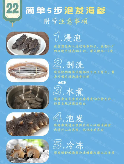 国家地理标识产品【长岛野生拉缸盐海参】拉缸盐半湿海参 圈海4年未动，检测通过了无重金属和无核辐射 无农残报告 生态海域，传统工艺、海参界的爱马仕！可泡发三倍以上! 商品图13