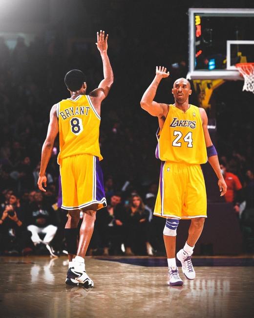 红薯-价格日历批改 商品图0