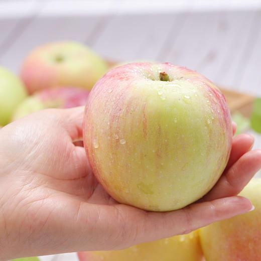 新鲜夏苹果 重约2斤【当天可提货】 商品图4