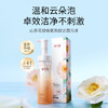 【干敏肌舒敏必选】溪木源山茶花舒缓氨基酸洁面泡沫 商品缩略图7