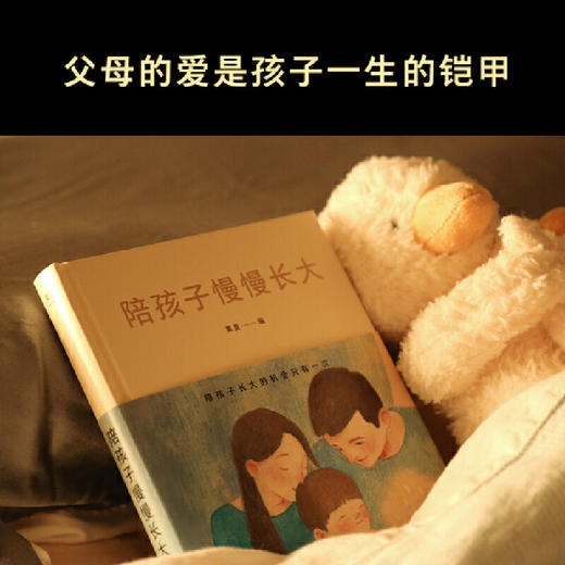 陪孩子慢慢长大（王芳、尹烨等32位名家，关于家庭教育的心里话） 商品图1