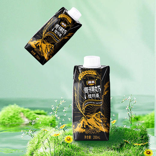 稞典谷物饮料青稞奶200ml*10瓶/箱 商品图0