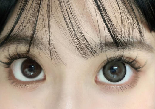 <月抛大直径>-Yeelens月抛-熊猫吐司14.5mm【月抛 0-800度 不含525/575】 商品图6