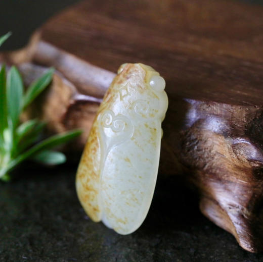 和田玉（白玉 ）子料挂件--蝉19.55g 商品图2