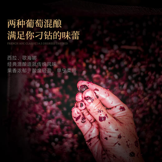 【独特封蜡技术】菲特瓦·伯恩干红葡萄酒 罗纳河谷AOP 15%vol 商品图3