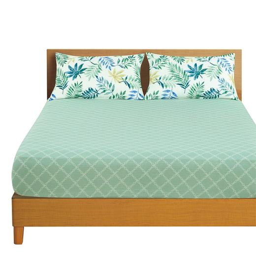 床笠叶子 单人 商品图4