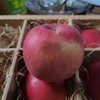 有机早熟苹果瑕疵果（不售后，介意慎拍） | 合作生产 *Organic precocious apple | Coproduction 商品缩略图6