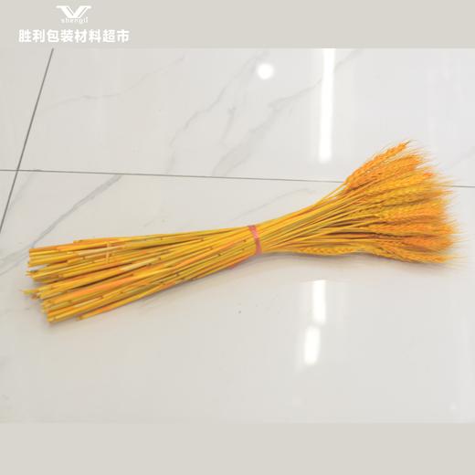 花篮大麦 商品图2