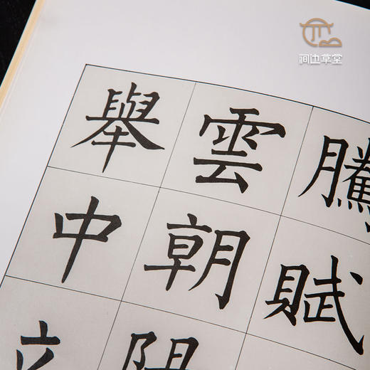 【绝版好书】溥儒日月潭教師會館碑 商品图8