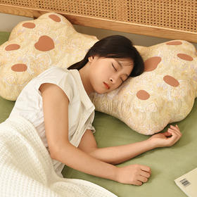 月光白佩斯利猫爪枕头荞麦壳助睡眠中空纤维棉床头靠