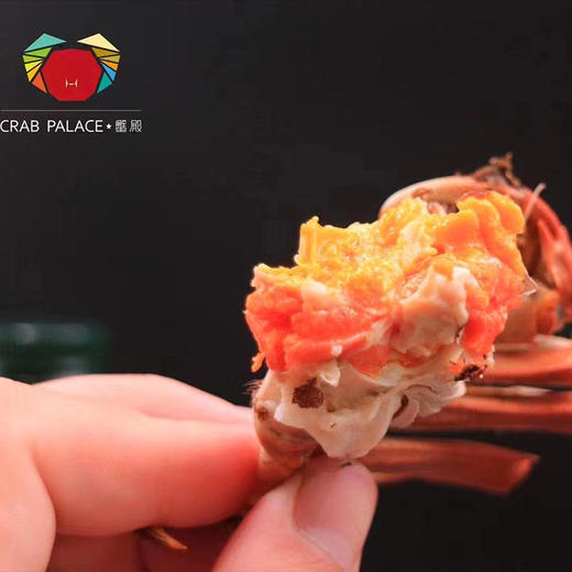 蟹殿 2023年阳澄湖大闸蟹 蟹卡发售 阳澄湖基地直发 【下单送辅料大礼包蟹具+紫苏+姜茶+蟹醋】 商品图7