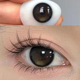 Bariecat小青心（日抛）