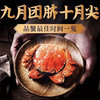 蟹殿 2023年阳澄湖大闸蟹 蟹卡发售 阳澄湖基地直发 【下单送辅料大礼包蟹具+紫苏+姜茶+蟹醋】 商品缩略图2
