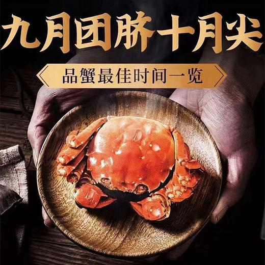 蟹殿 2023年阳澄湖大闸蟹 蟹卡发售 阳澄湖基地直发 【下单送辅料大礼包蟹具+紫苏+姜茶+蟹醋】 商品图2