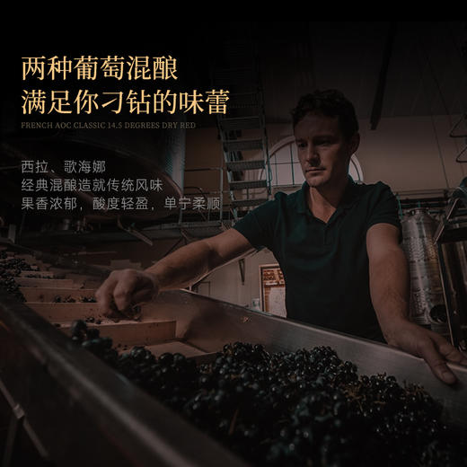 【独特封蜡技术】菲特瓦·伯恩干红葡萄酒 罗纳河谷AOP 15%vol 商品图9