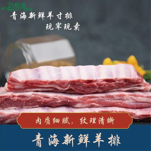 青海马佳肴藏系羊 寸排1kg*2 商品图4