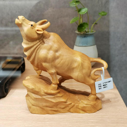 牛气冲天°原木黄杨 商品图0