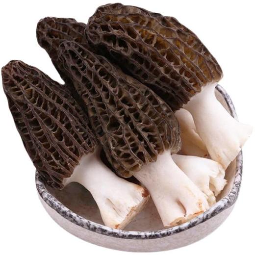 恩施 【832】恩施州宣恩 九儿菇凉 干羊肚菌50g/罐 商品图1