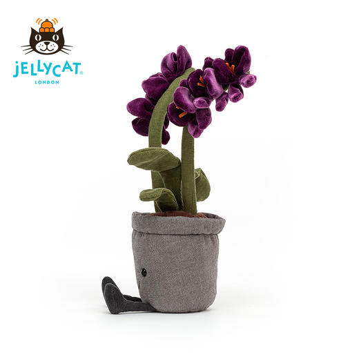Jellycat 趣味兰花 商品图5