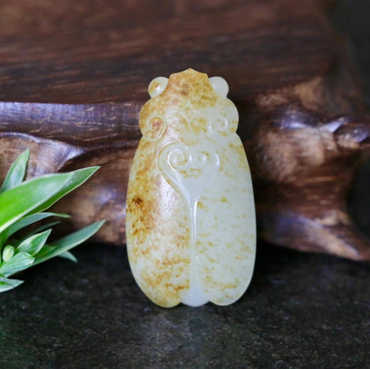 和田玉（白玉 ）子料挂件--蝉19.55g 商品图0