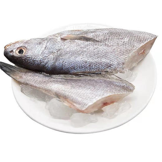 舟山冰鲜鮸鱼400-500g/条（米鱼） 商品图0